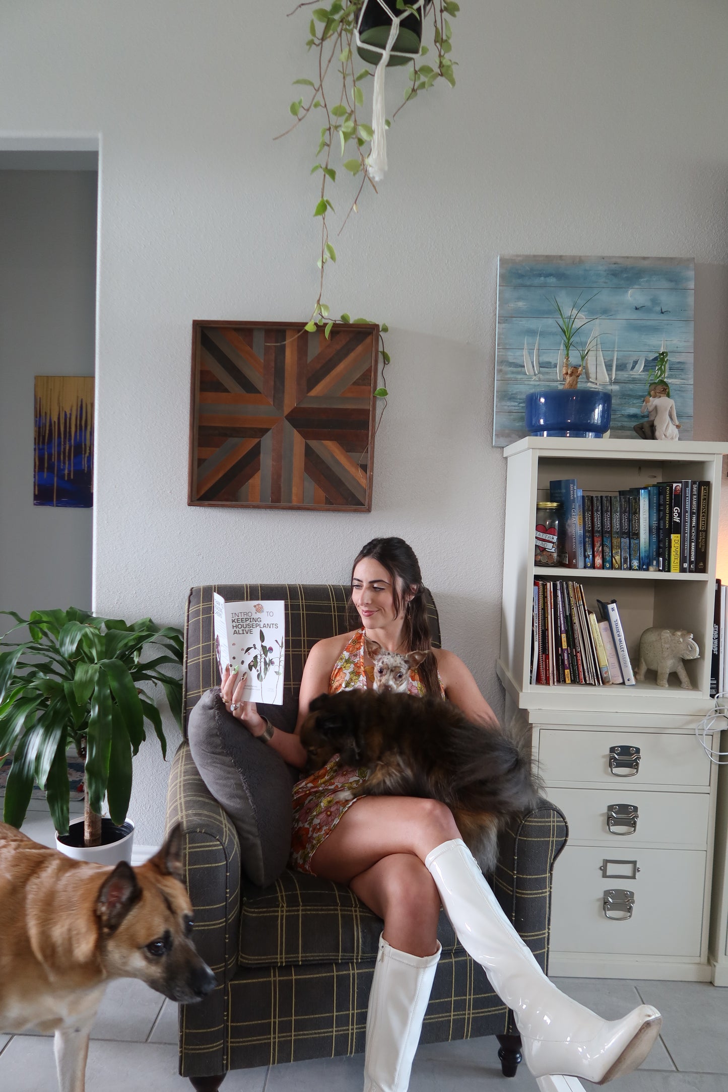 Intro to Keeping Houseplants Alive - ZINE