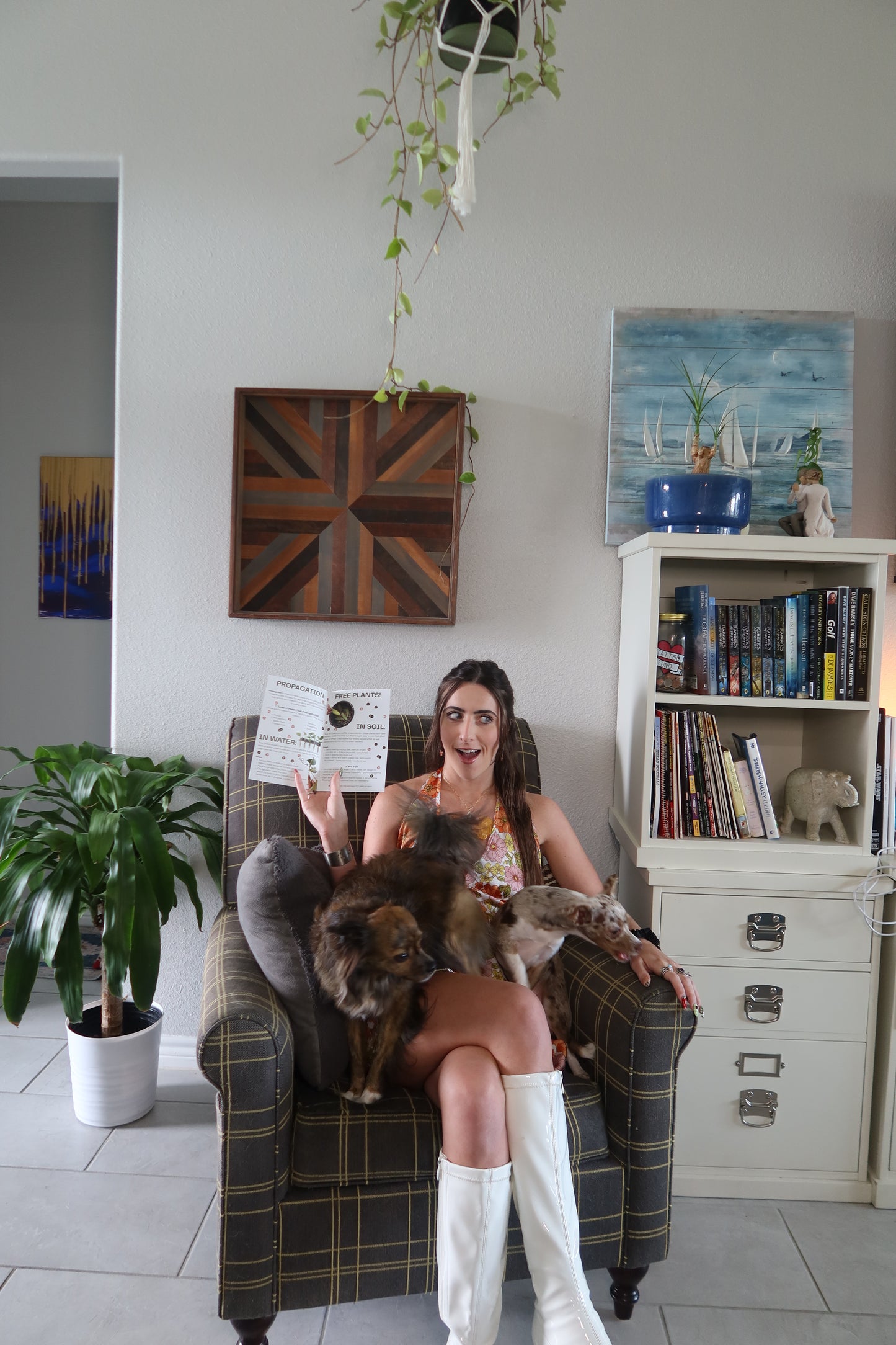Intro to Keeping Houseplants Alive - ZINE