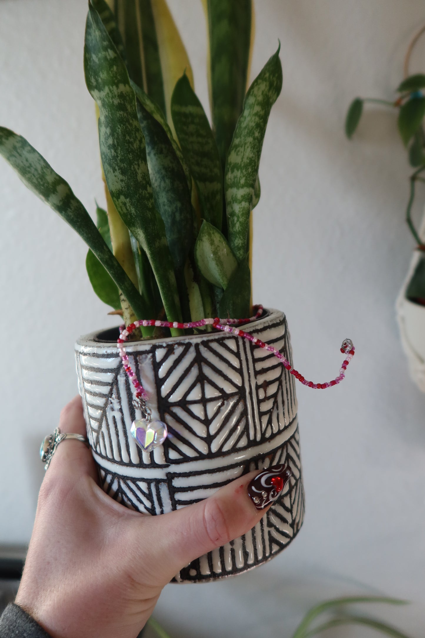 Holographic Sweetheart Plant Wrap - Cupid Collection