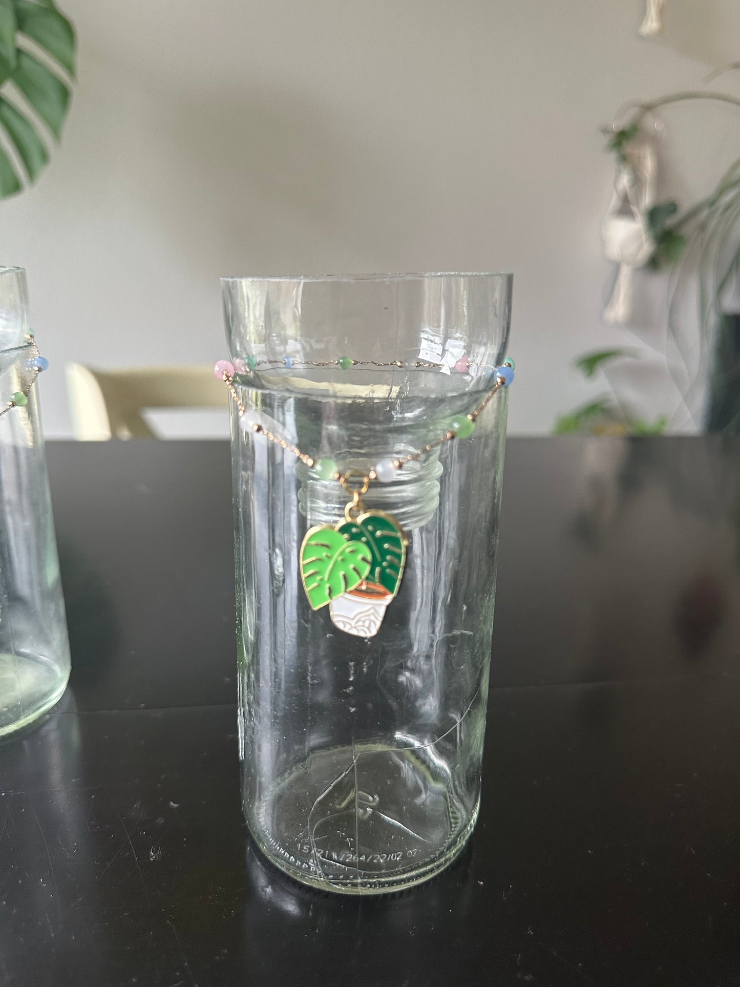 Monstera Plant Propagation Vase