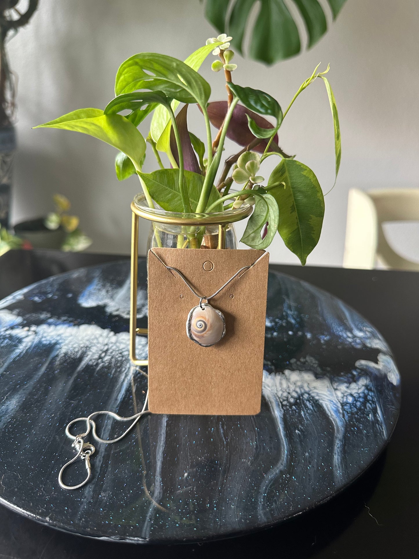 Shark Eye Shell Necklace