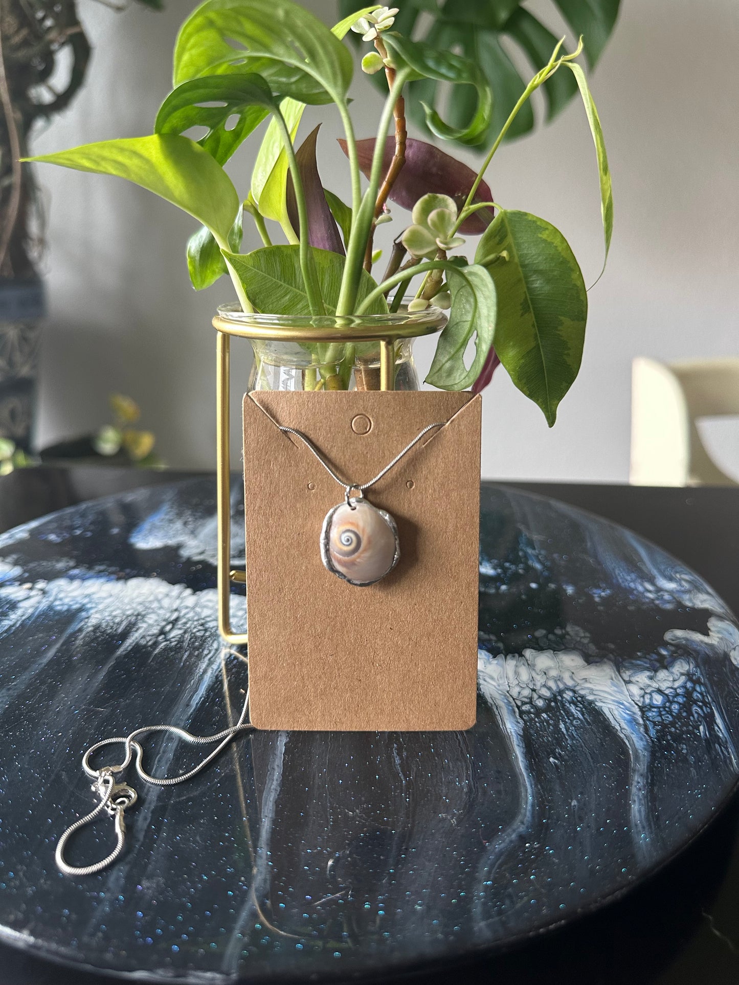 Shark Eye Shell Necklace