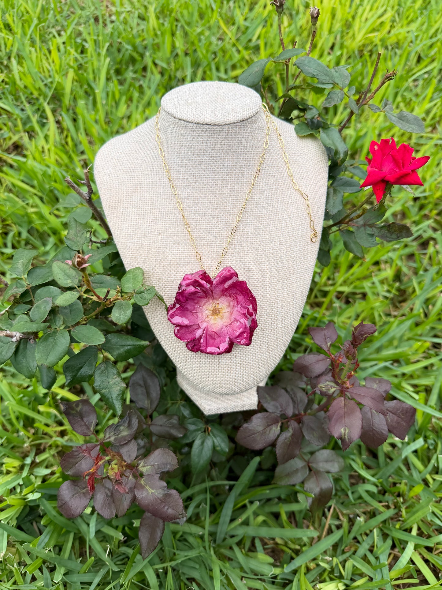 WILD ROSE with Gold Chain