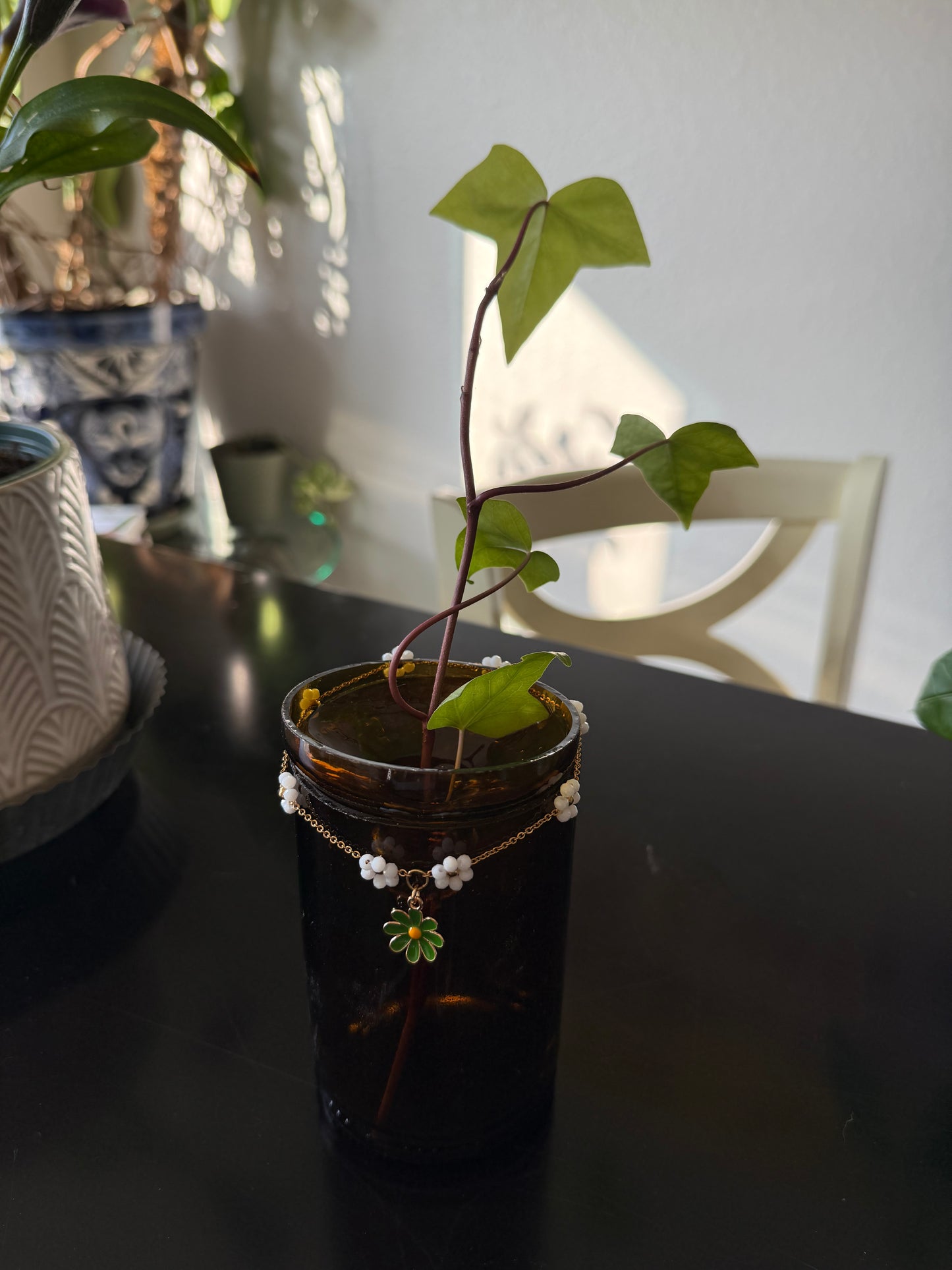 Daisy Chain Plant Propagation Vase - Cupid's Collection