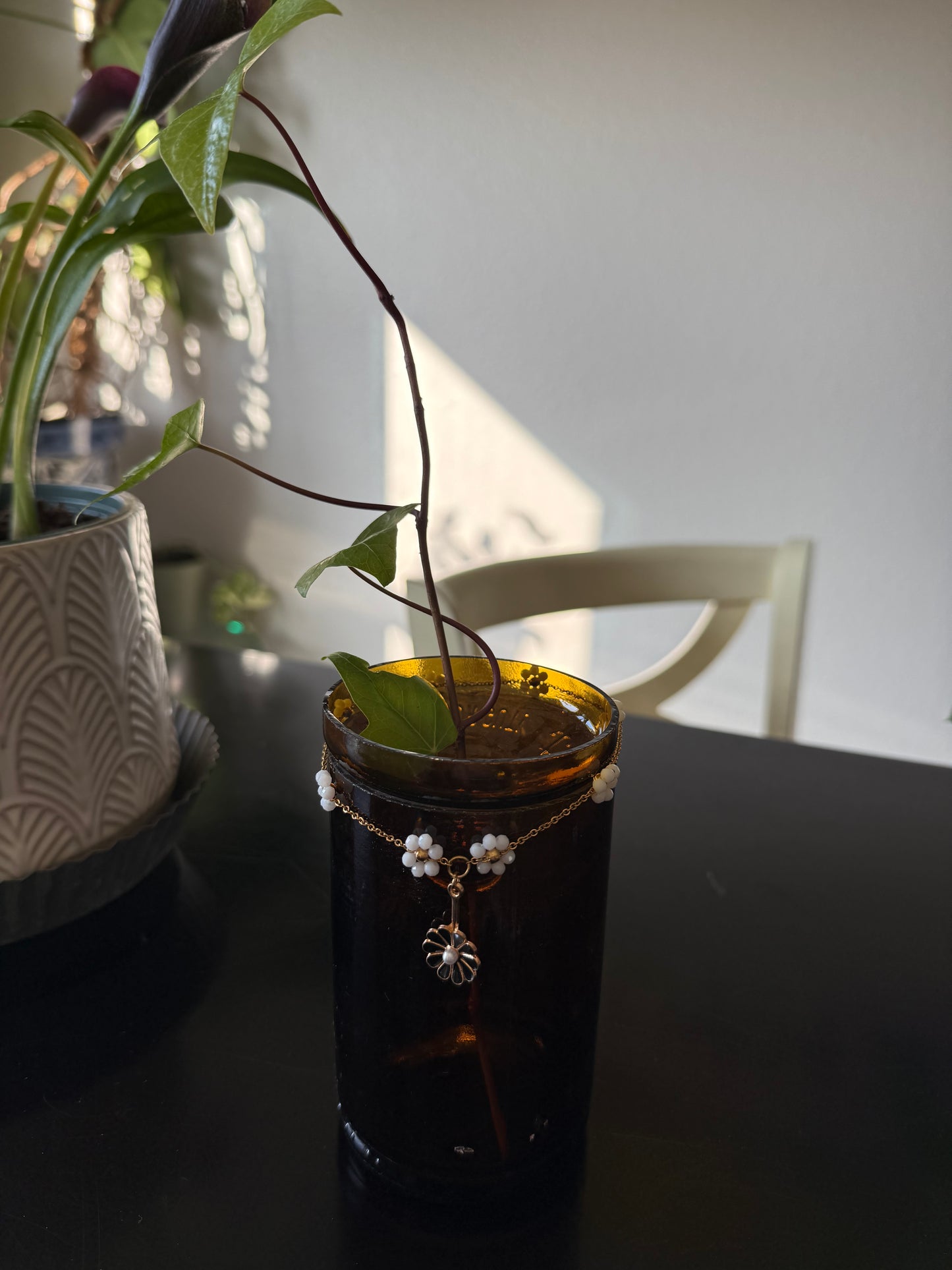 Black Daisy Chain Plant Propagation Vase - Cupid's Collection