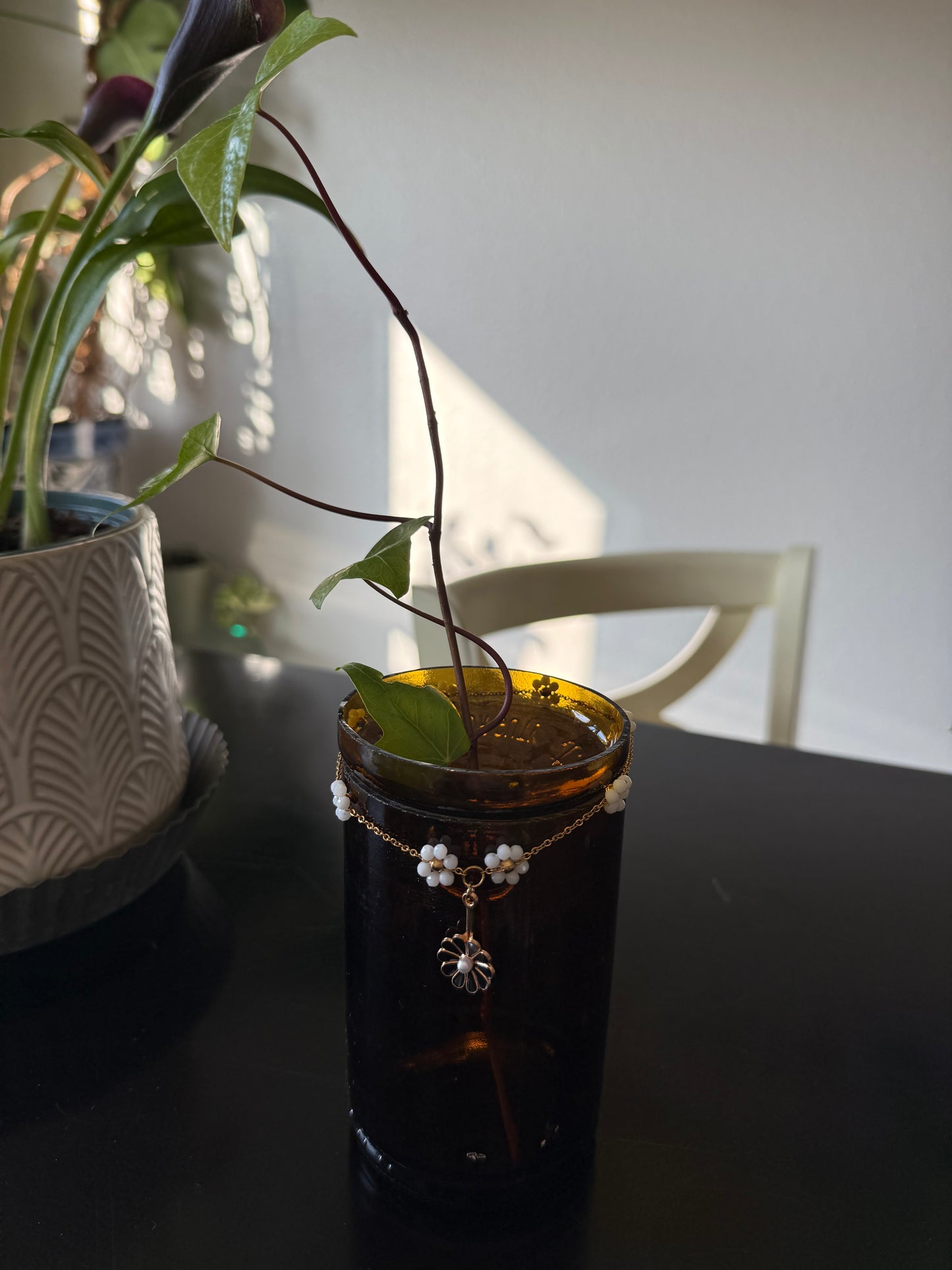 Black Daisy Chain Plant Propagation Vase - Cupid's Collection