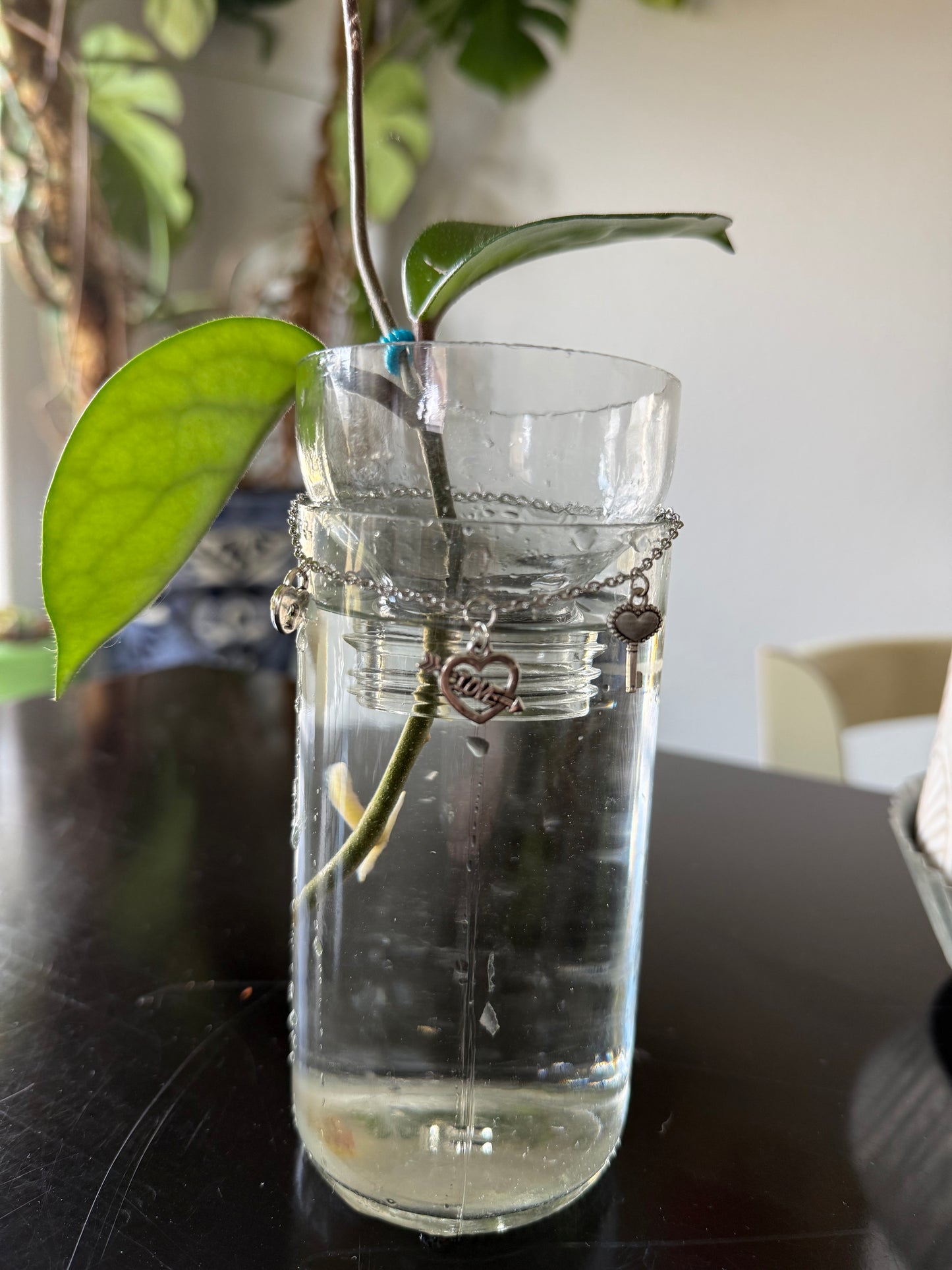 Lock & Key Love Chain Plant Propagation Vase - Cupid's Collection