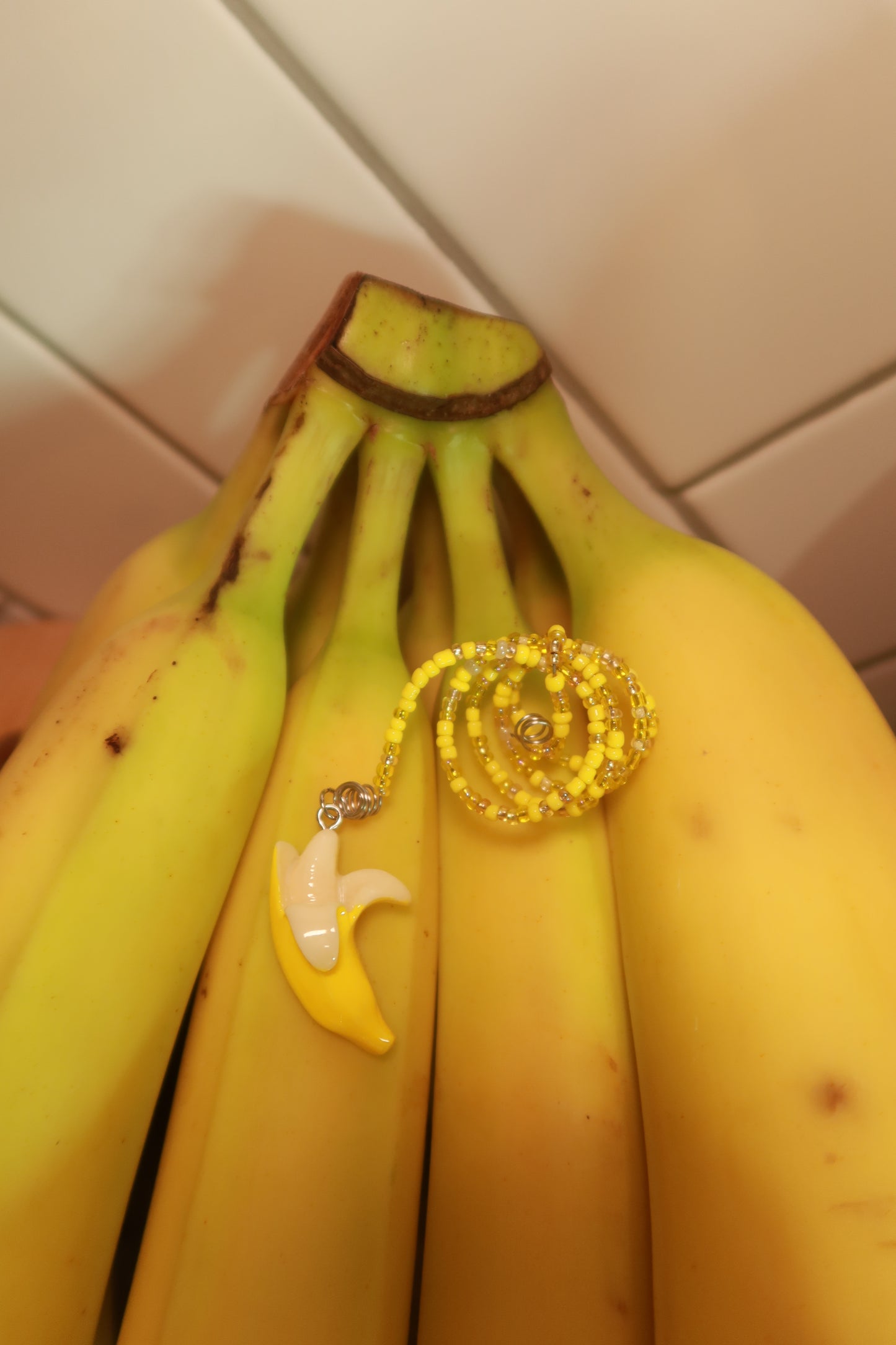 Food Plant Wraps with Large Charms - Snack Attack Collection