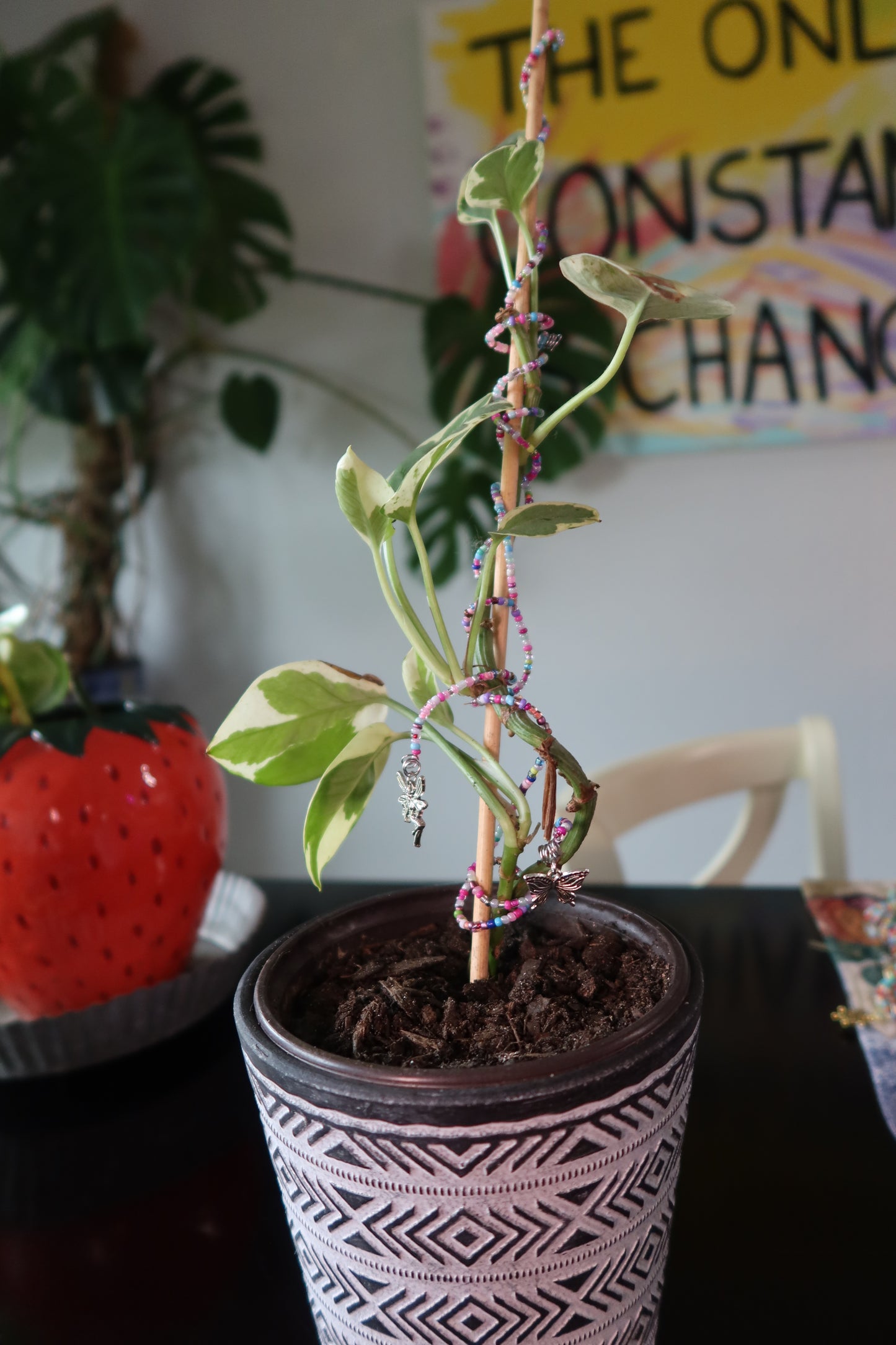 Moon Plant Wrap - Mythical Collection