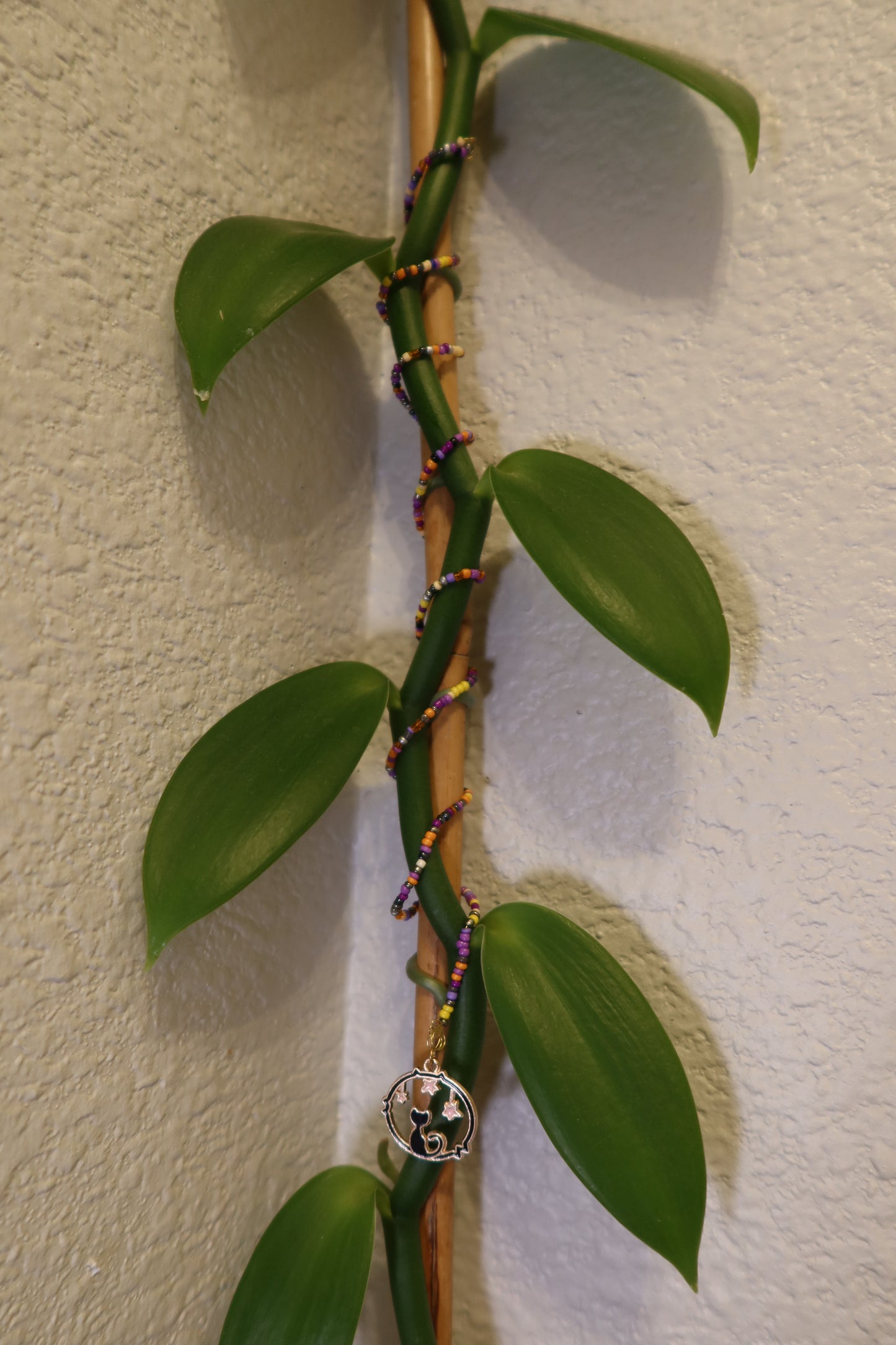 Gold Skull Plant Wrap - Spooky Collection