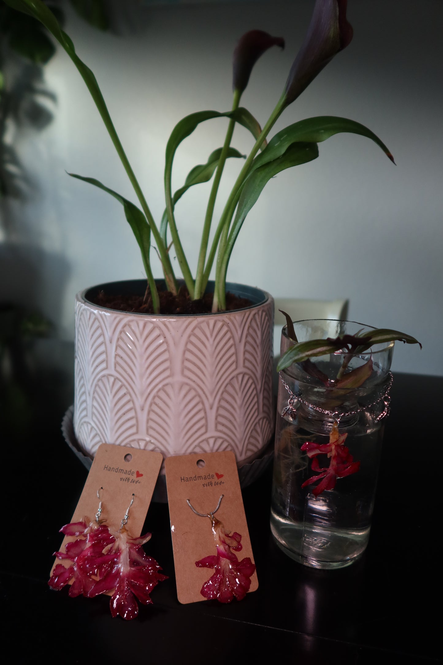 Thanksgiving Cactus Propagation Vase – Cupid's Collection