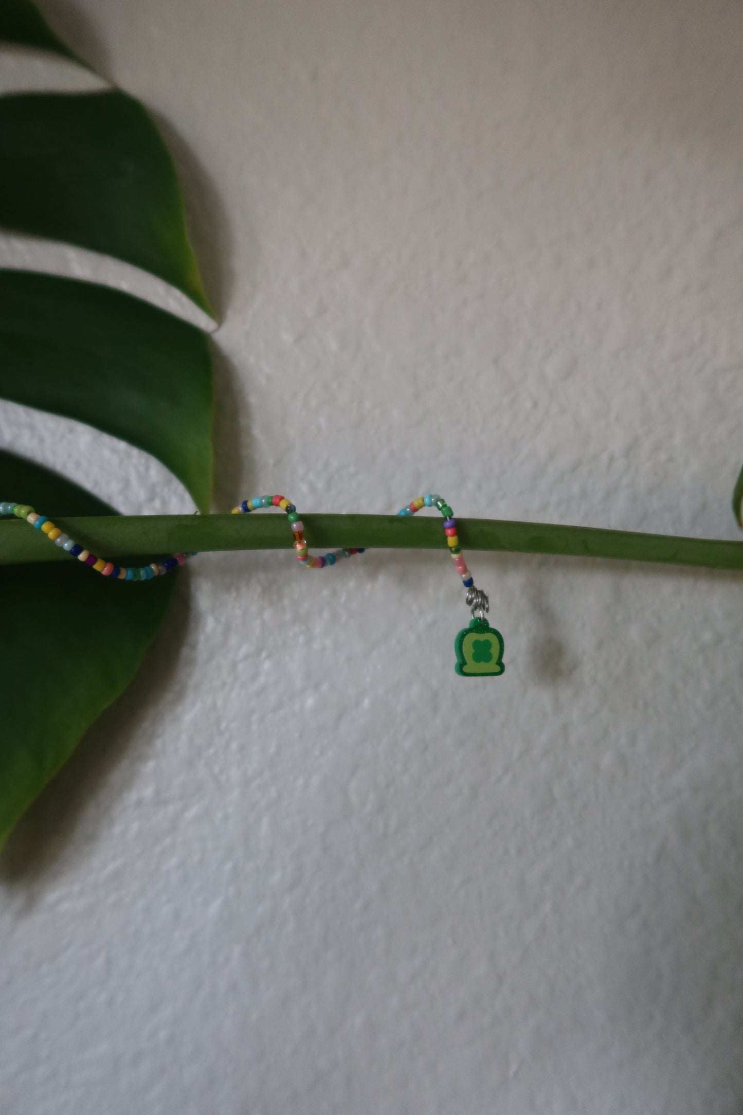 Rainbow Plant Wrap - Lucky Girl Collection