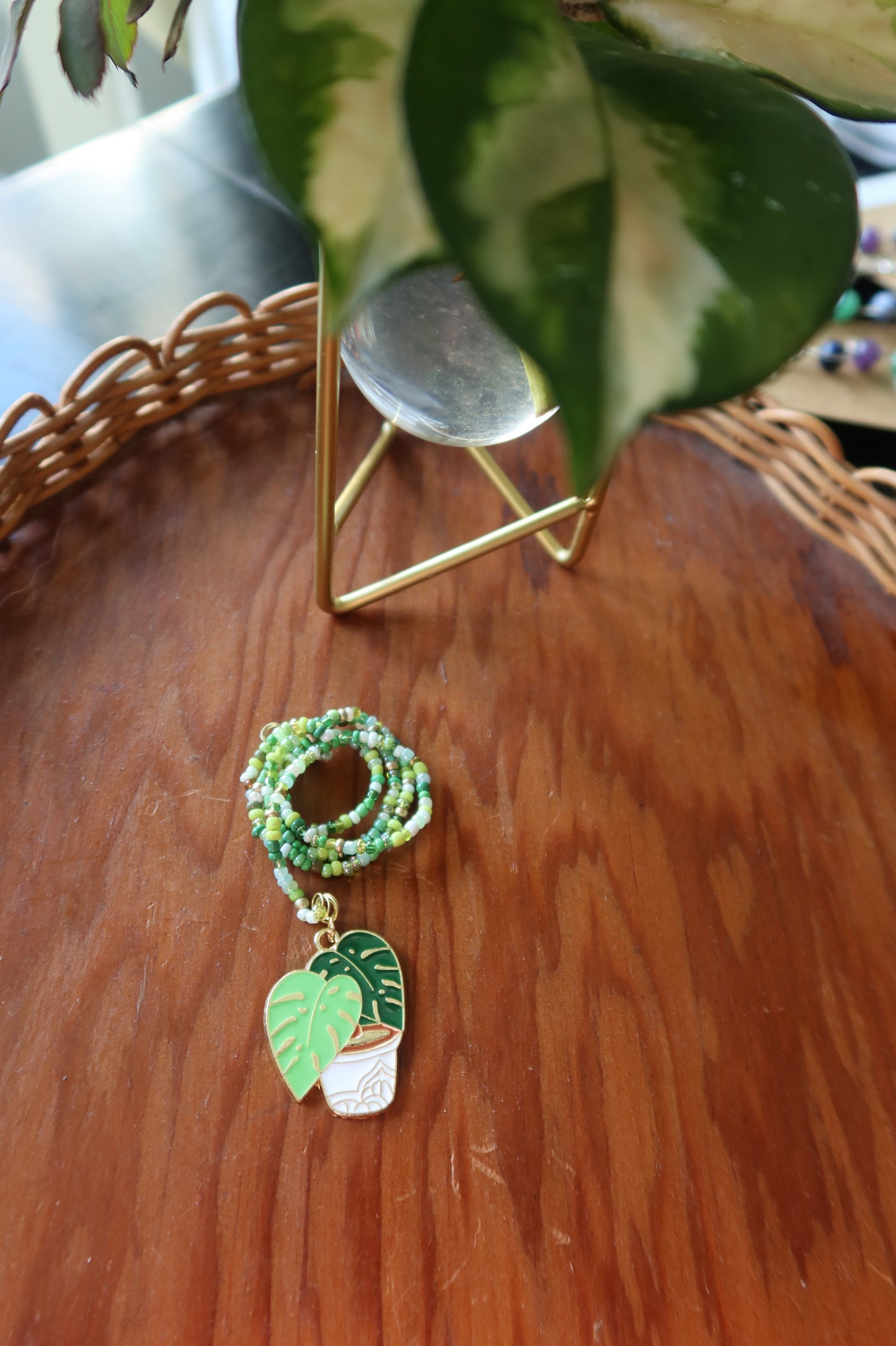 Monstera Plant Wrap - House Plant Lover Collection