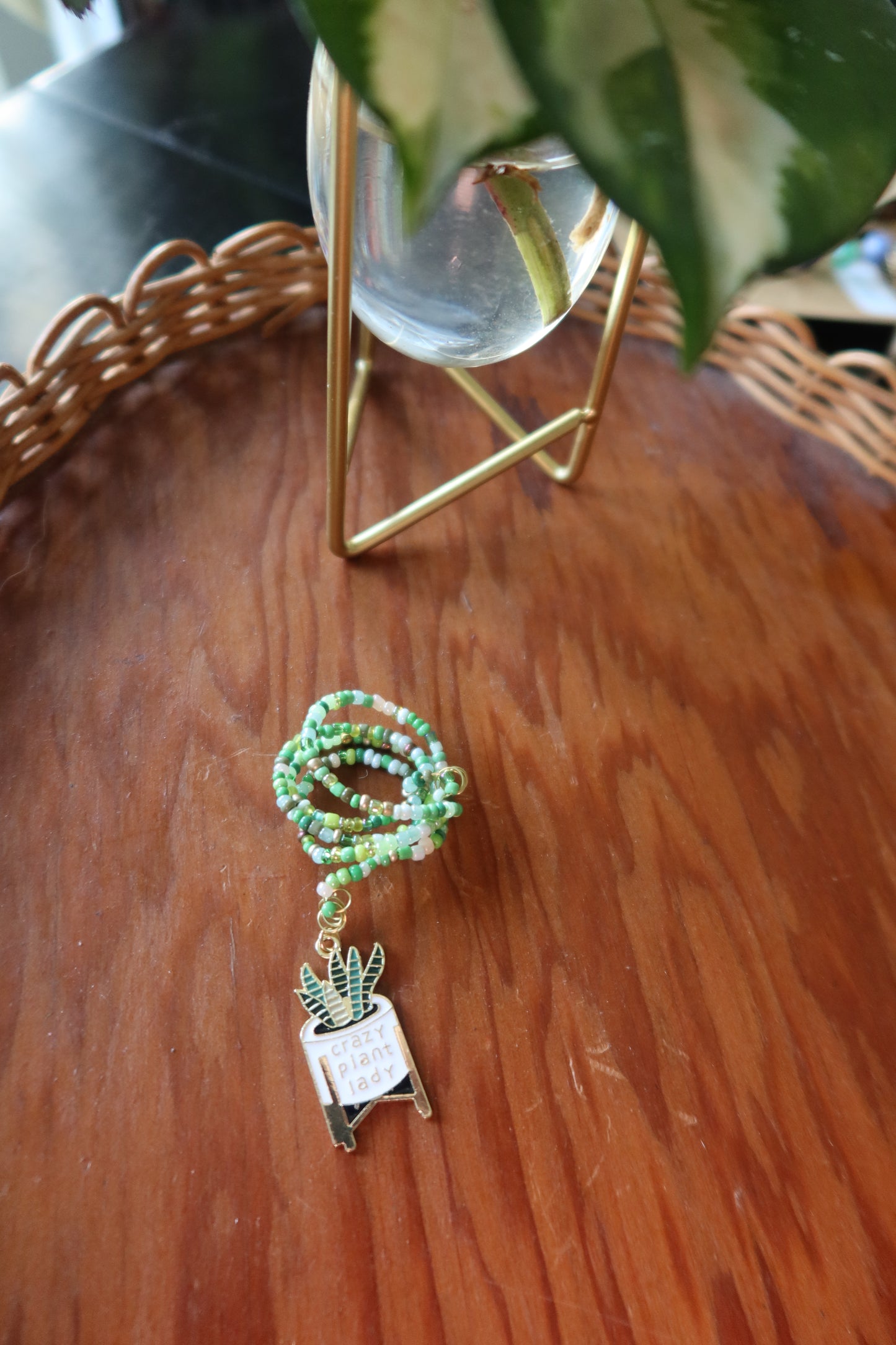 Snake Plant Wrap - House Plant Lover Collection