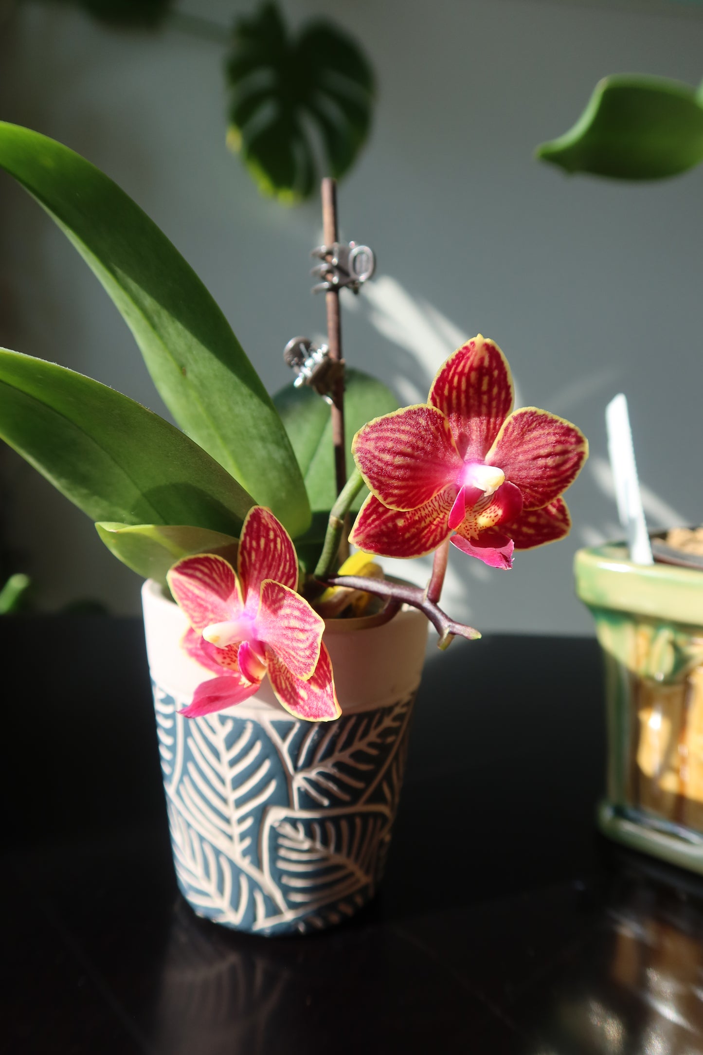 Striped Orchid Bloom Earrings