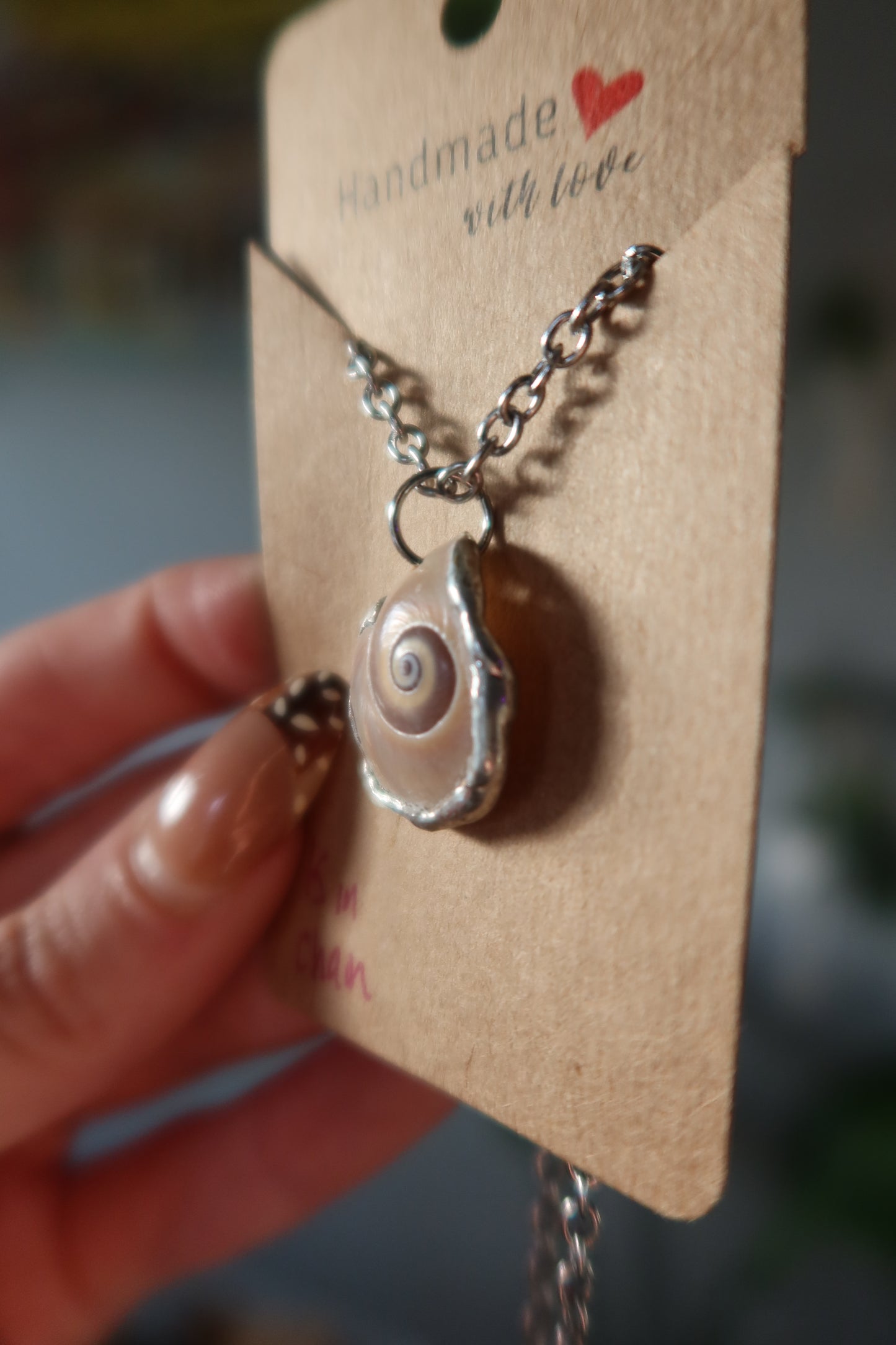Shark Eye Shell Necklace Thick Chain
