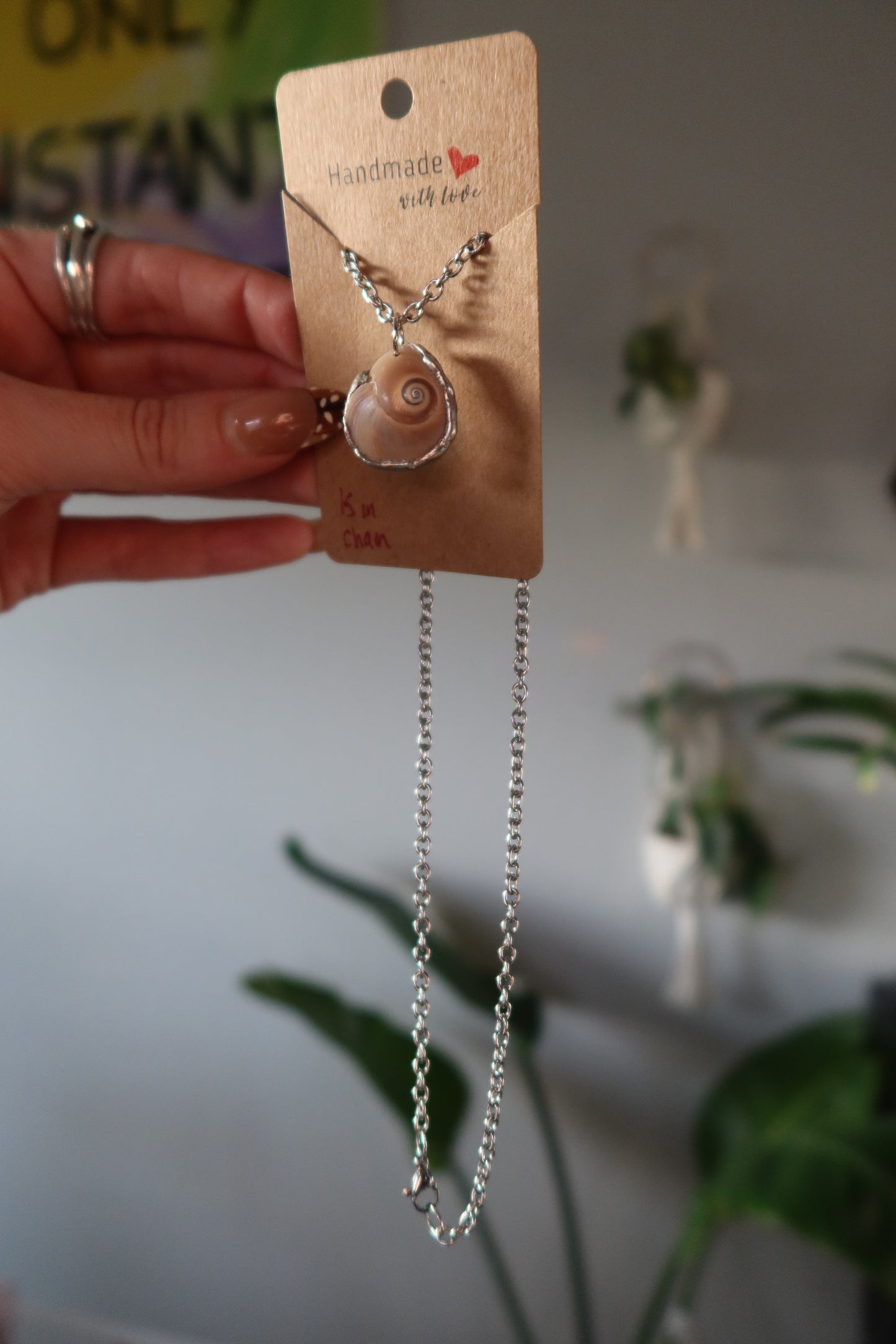 Shark Eye Shell Necklace Thick Chain