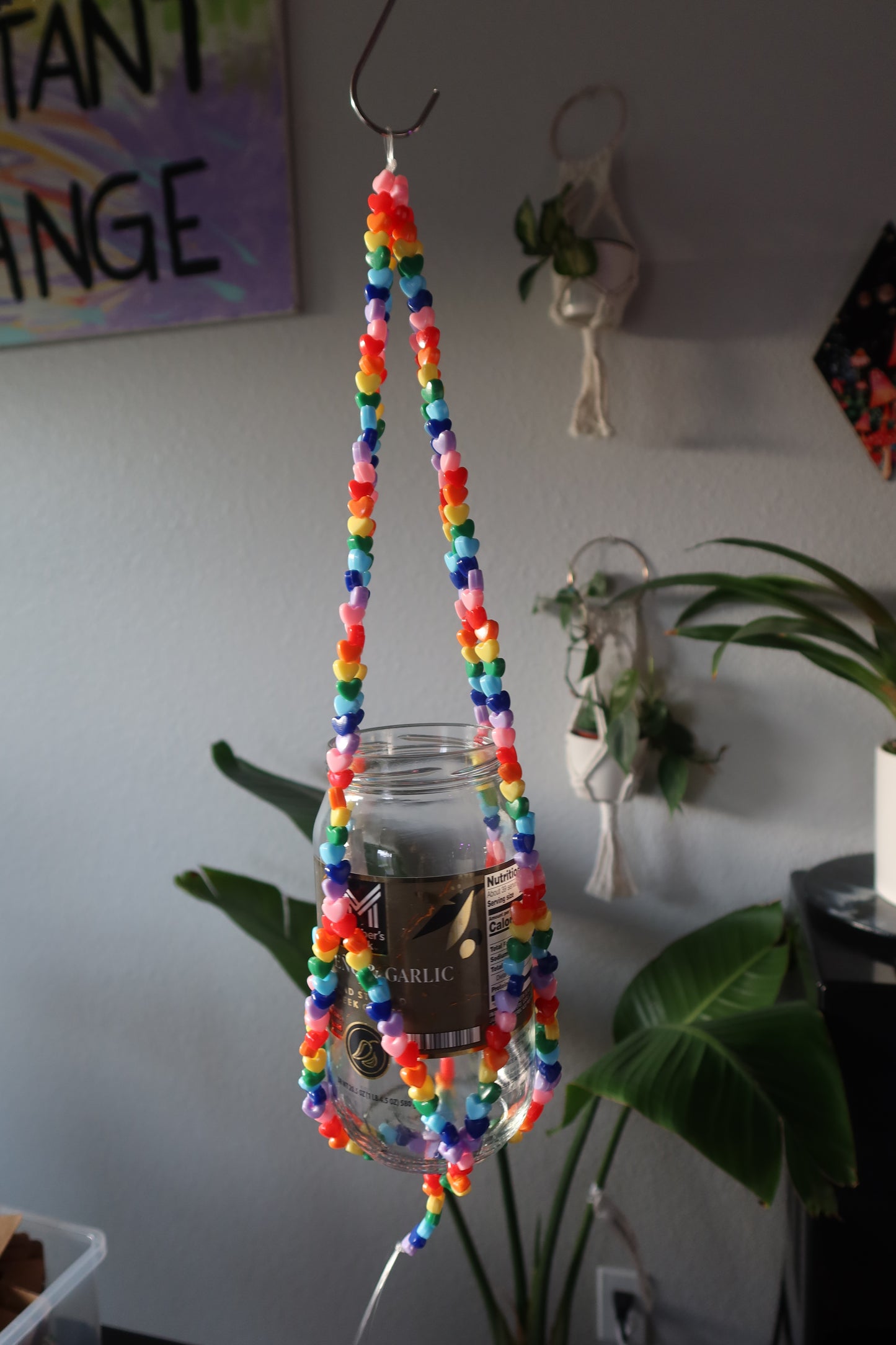 Rainbow Heart Plant Hanger