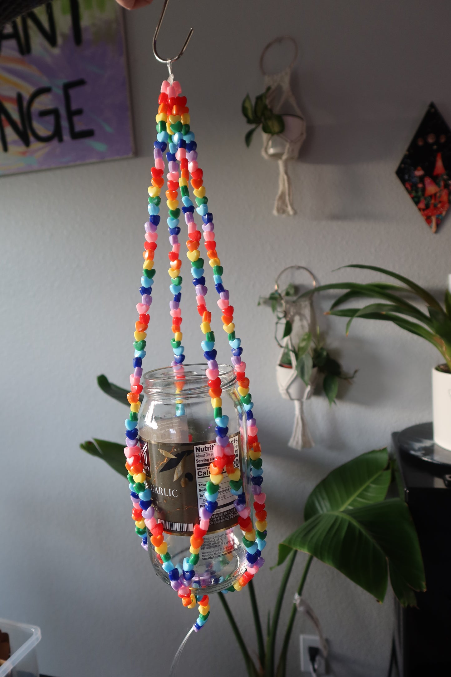 Rainbow Heart Plant Hanger