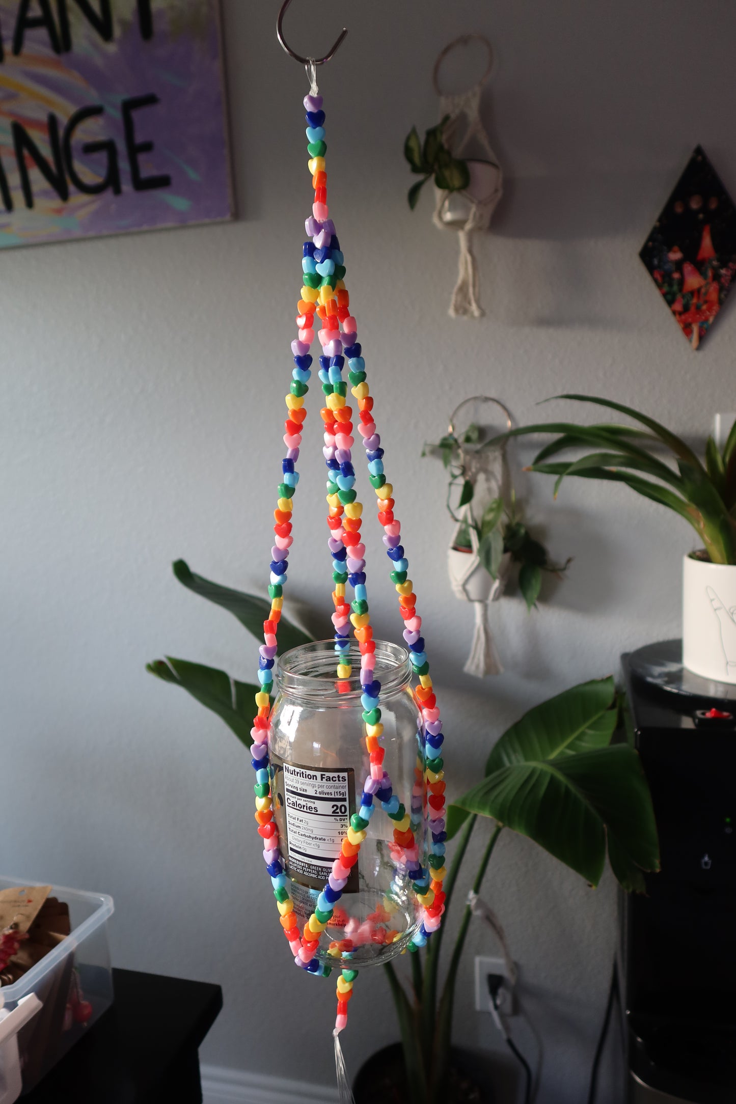 Rainbow Heart Plant Hanger - Long