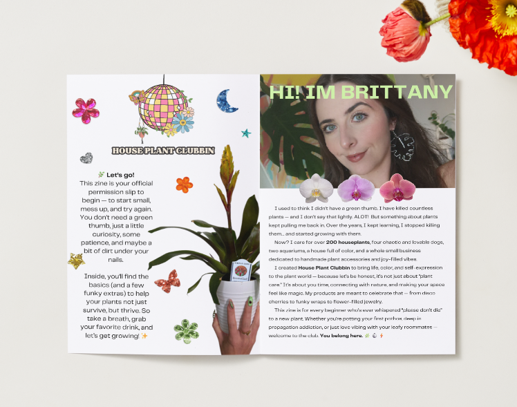 Intro to Keeping Houseplants Alive - ZINE
