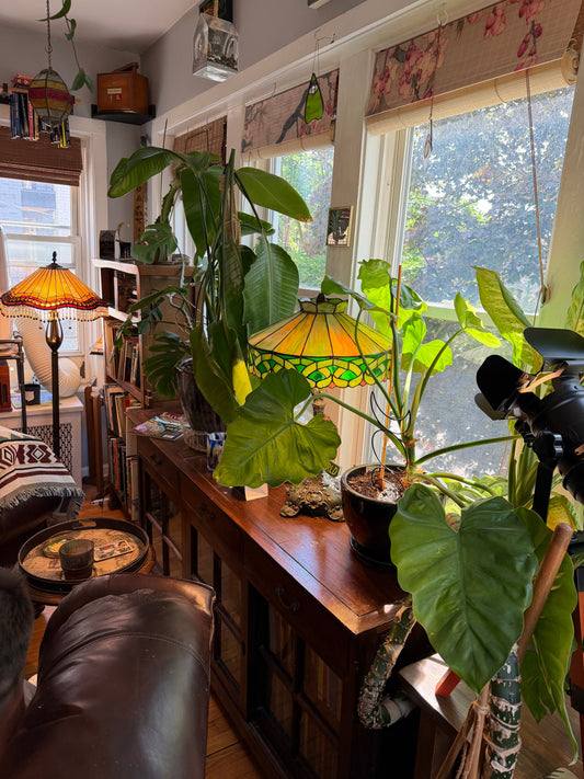 I Found the Most Unique Airbnb in Chicago and I Cannot Stop Thinking About It - Yes There Were Plants
