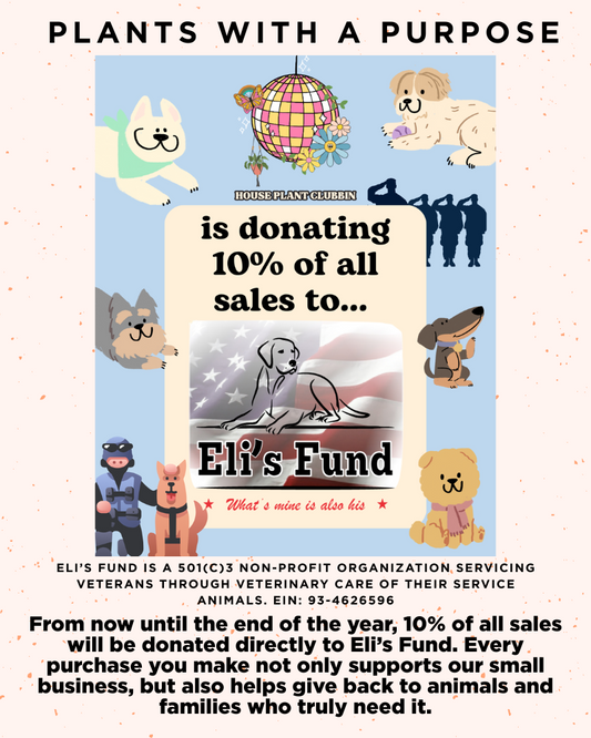 Plants & Paws for a Purpose 🌱🐾