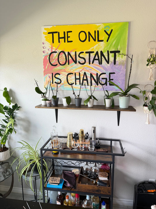 We Built Our Own Plant Shelves and It Was Easier Than You Think 🌿🪵