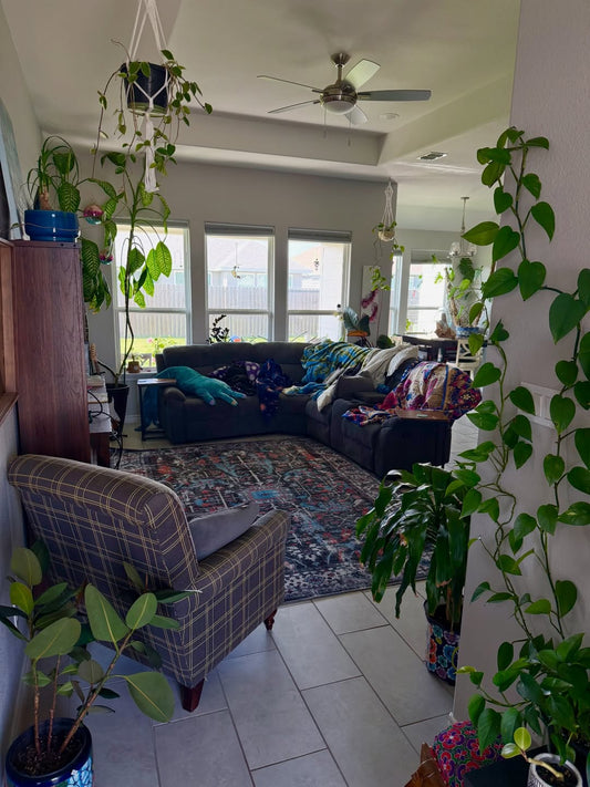 How to Style Houseplants in Your Home | Indoor Plant Decor Ideas