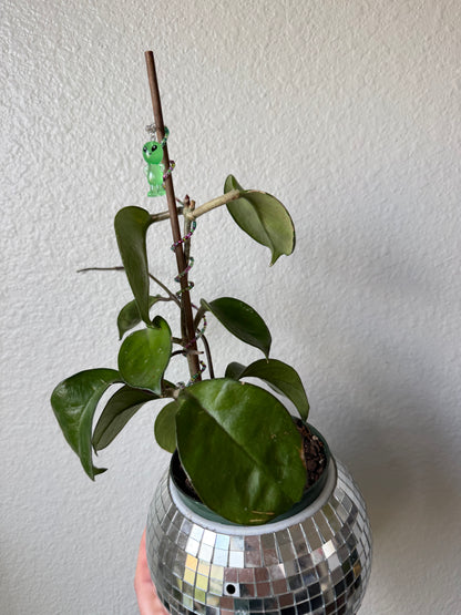 Glow in the Dark Alien Plant Wrap