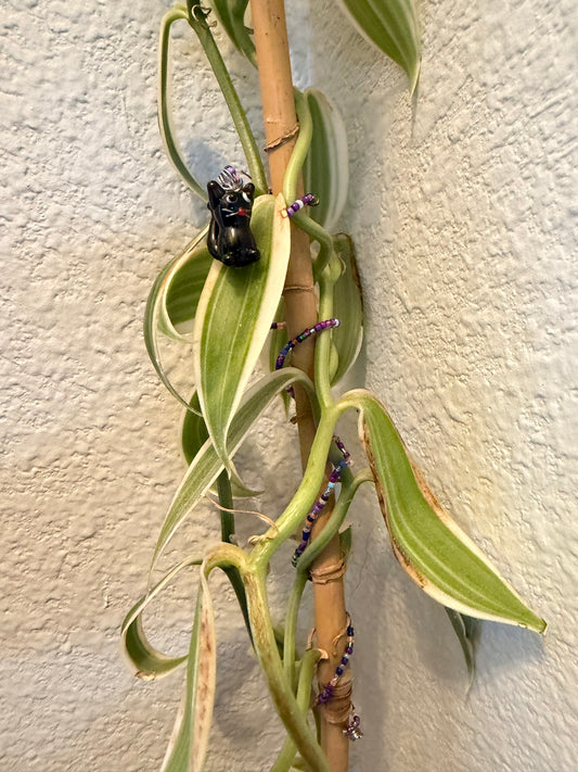 Black Cat Plant Wrap
