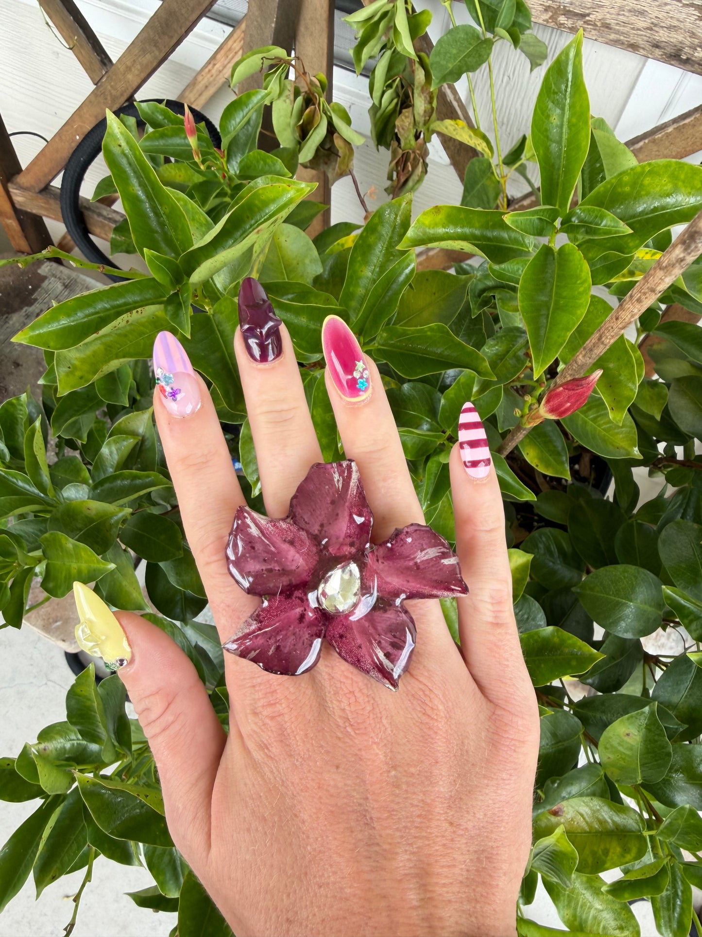 Mandevilla Bling Ring - Adjustable on gold stainless steel band