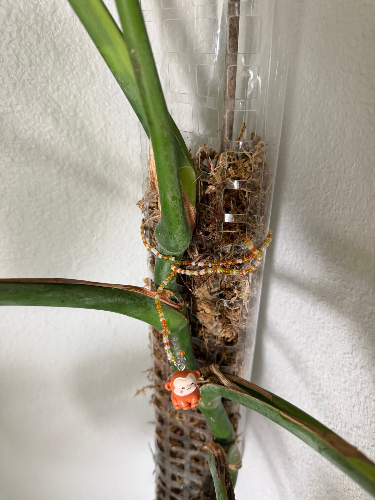 Monkey Plant Wrap