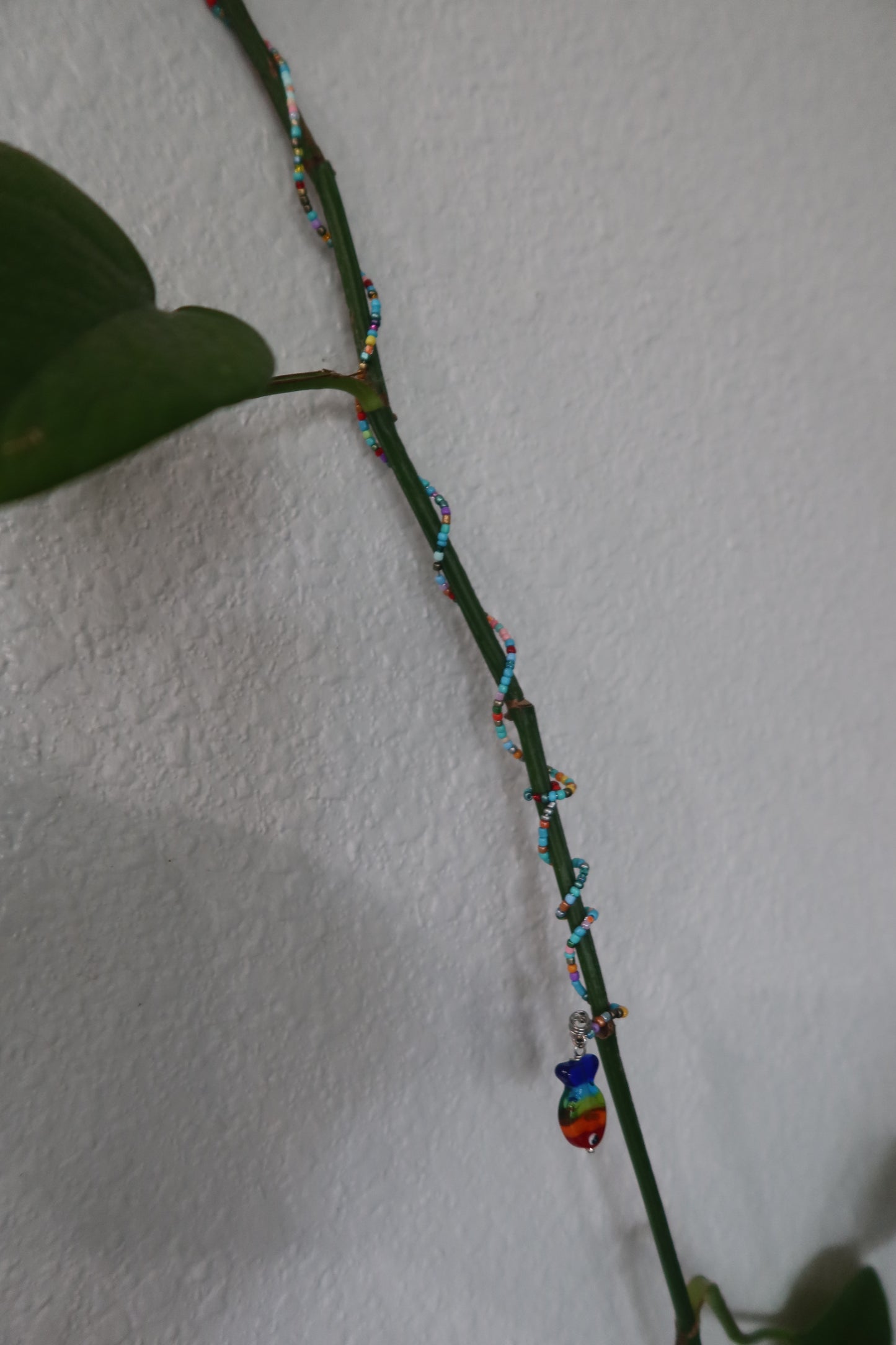 Rainbow Fish Plant Wrap - Ocean Club Collection