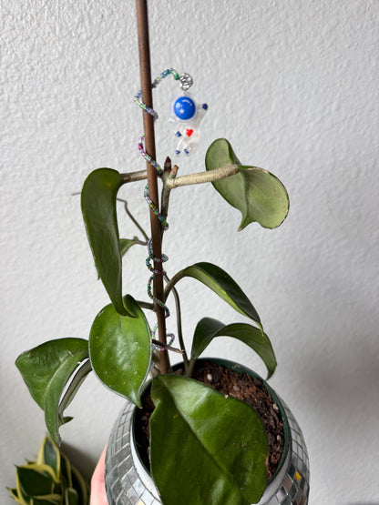 Glow in the Dark Space Astronaut Plant Wrap
