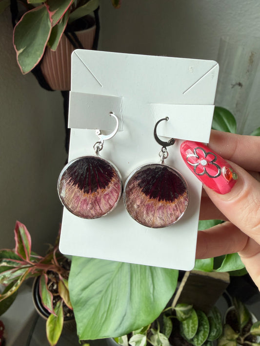 Plum Hibiscus Round Earrings in Silver