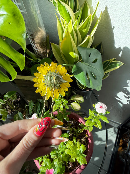 Sunflower Hair Pin