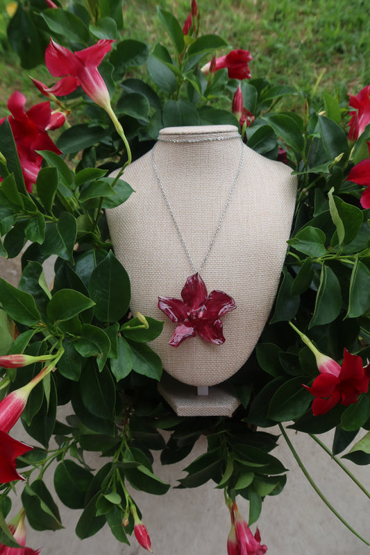 Mandevilla Necklace on Silver Chain - Real Bloom Collection