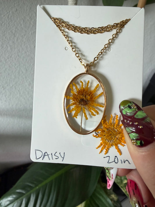Daisy Oval Necklace in Gold