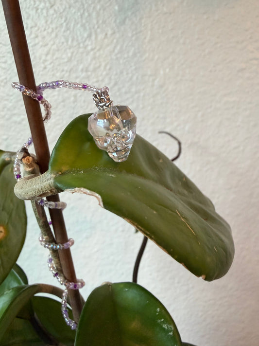Crystal Skull Plant Wrap