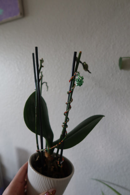 Gift Bow Plant Wrap - Winter Collection