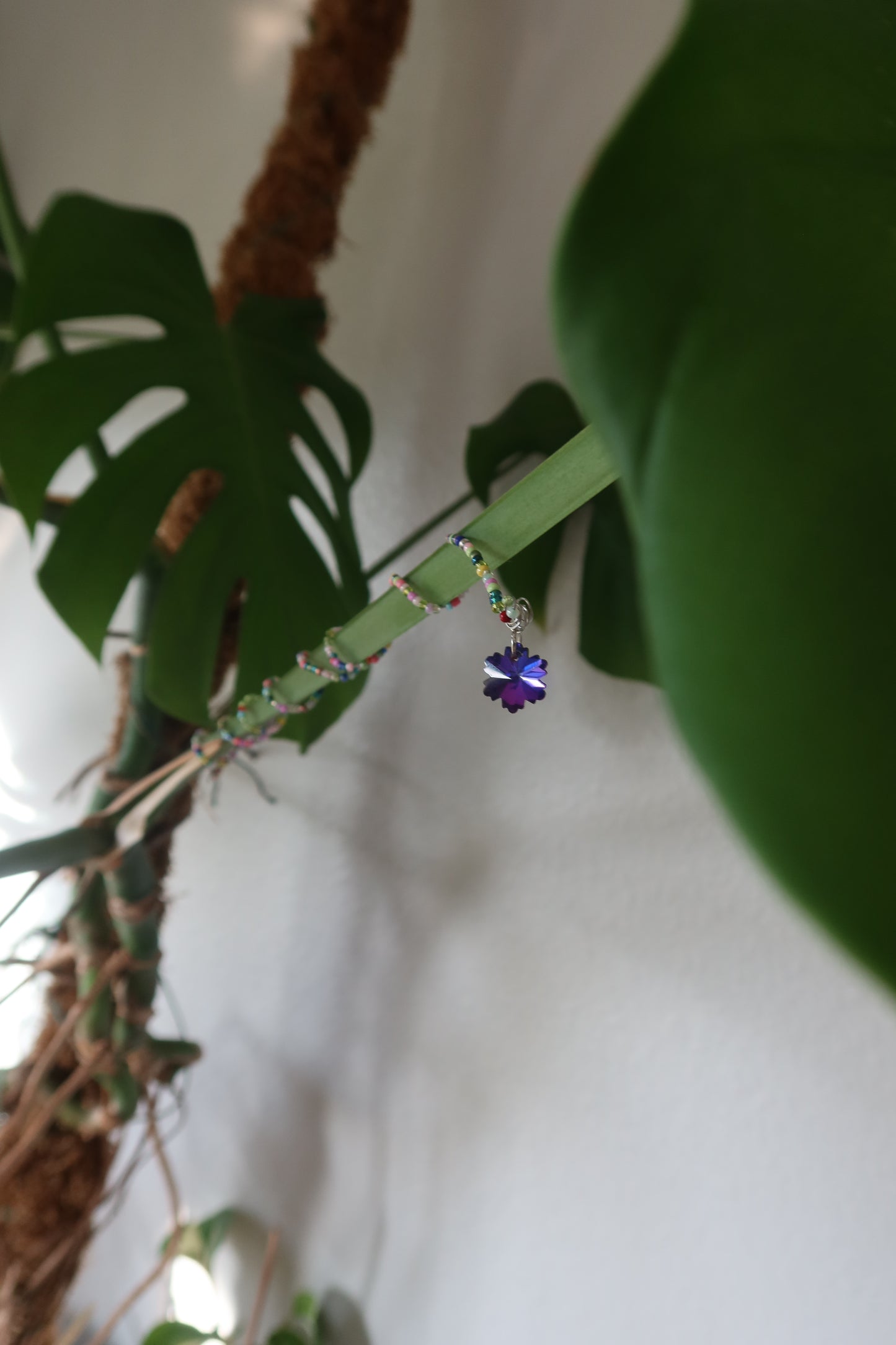 Purple Glass Snowflake Plant Wrap - Winter Collection