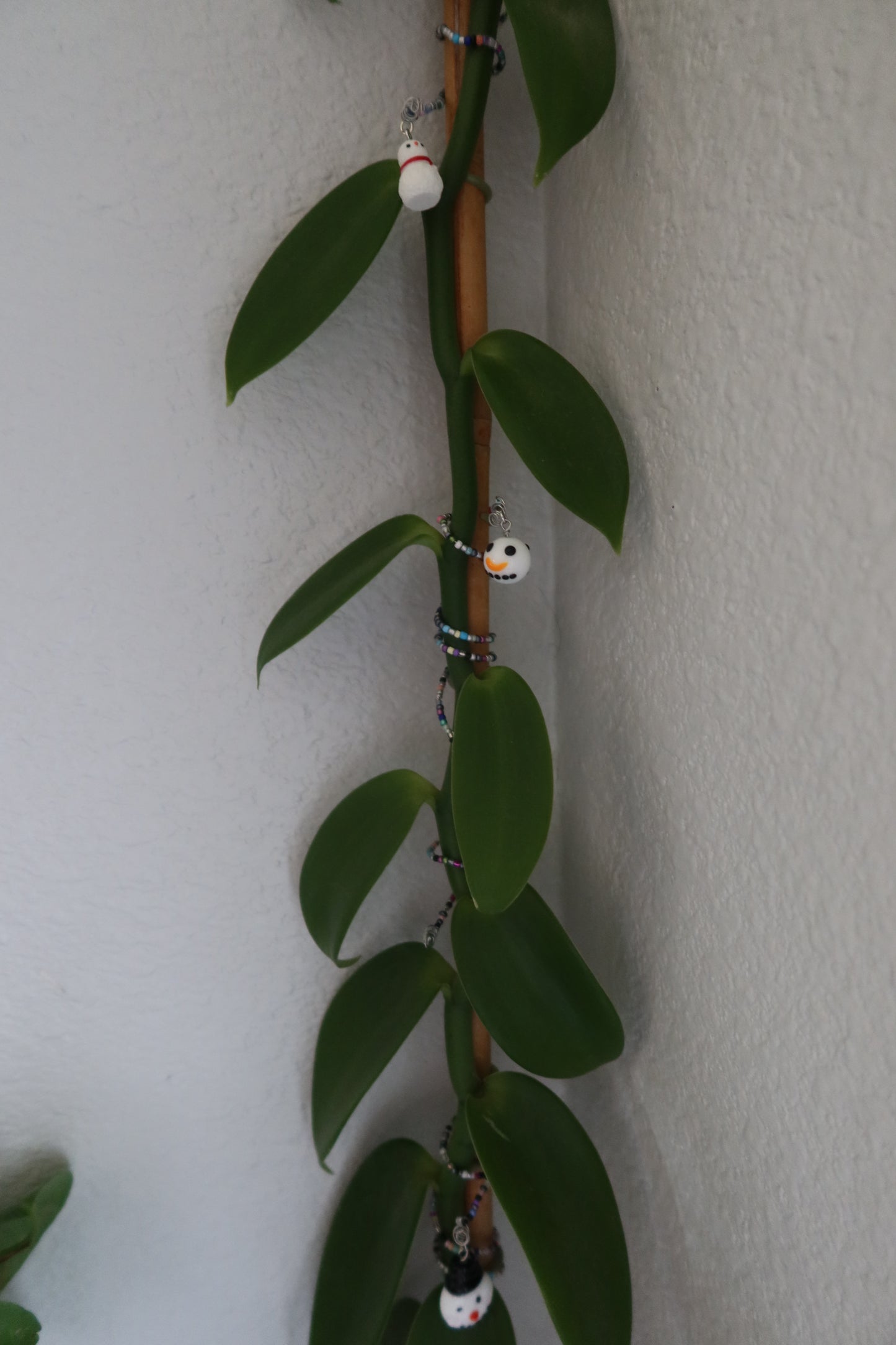 Snowman Plant Wrap - Winter Collection