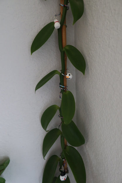 Snowman Plant Wrap - Winter Collection