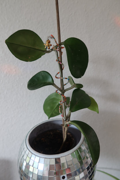 Gingerbread Man Plant Wrap - Winter Collection