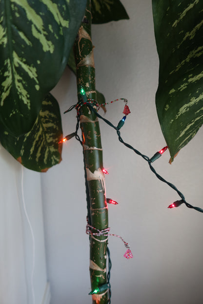 Glass Christmas Tree Plant Wrap - Winter Collection