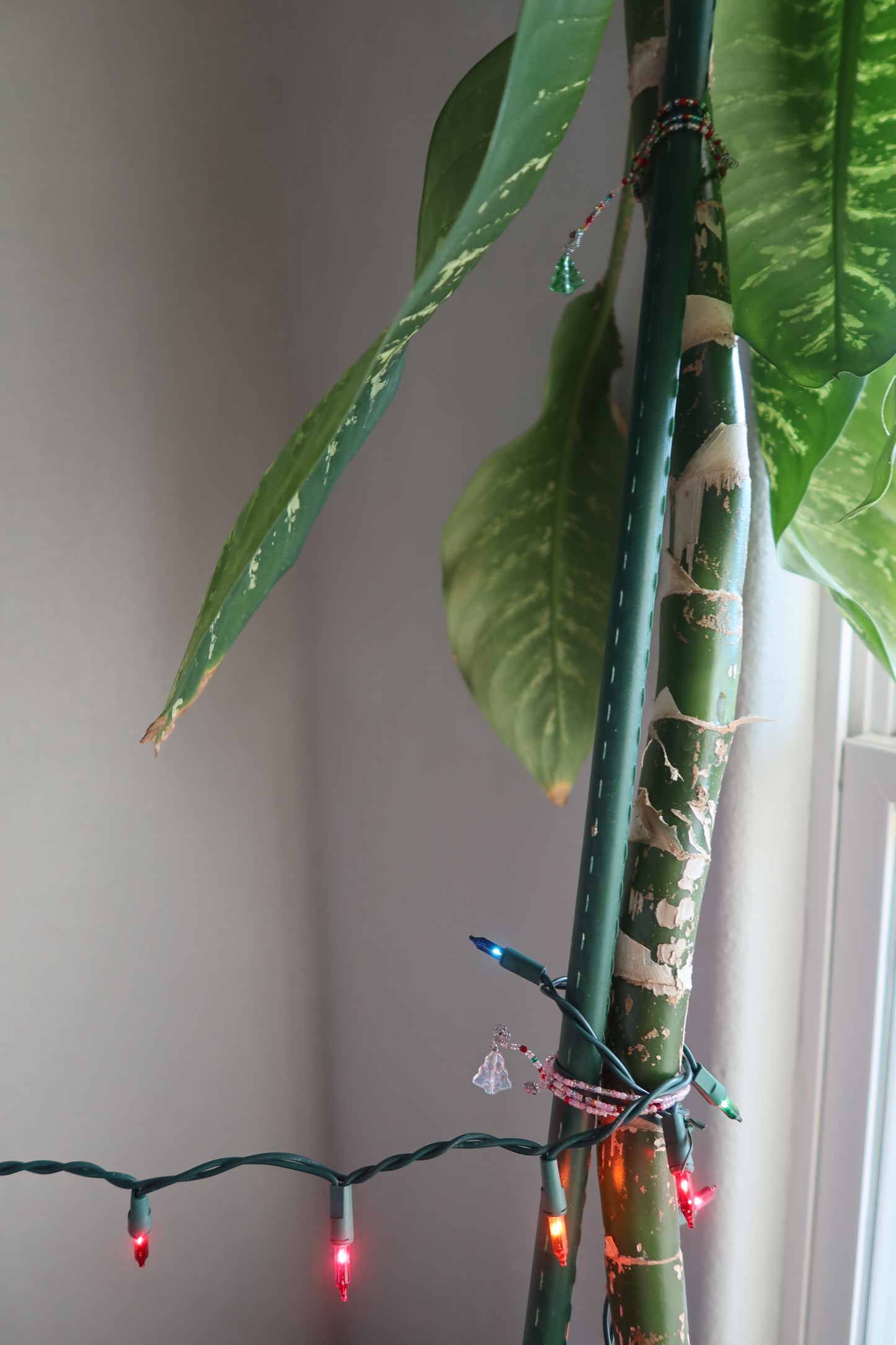 Glass Christmas Tree Plant Wrap - Winter Collection