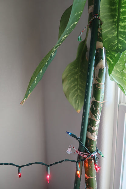 Glass Christmas Tree Plant Wrap - Winter Collection