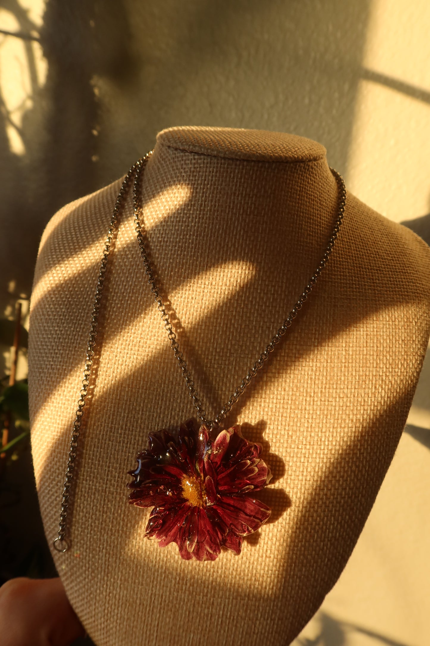 WILD CHRYSANTHEMUM (EXHIBIT)