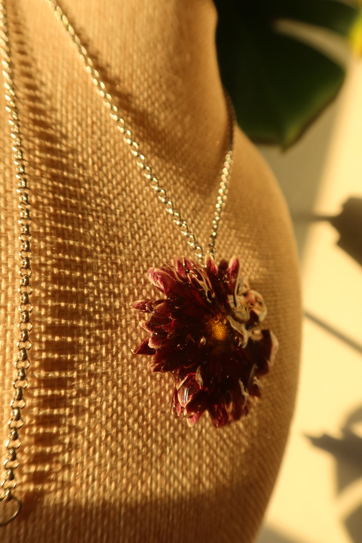 WILD CHRYSANTHEMUM (EXHIBIT)